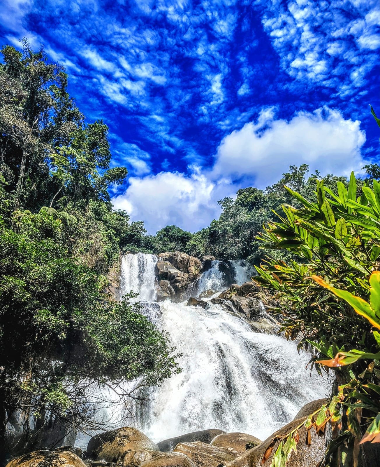 Cascada